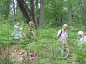 2018-05-24 15-16-17  Rando Fontainebleau FGn